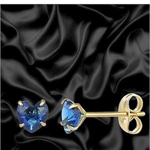 18kHeart Earrings🐍